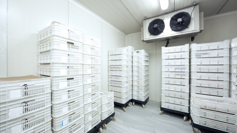 Freezers in Surrey, British Columbia